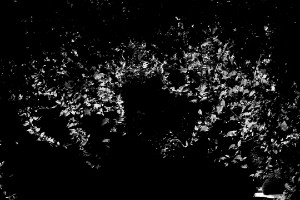 L1012085