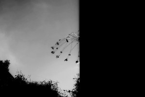 L1012147